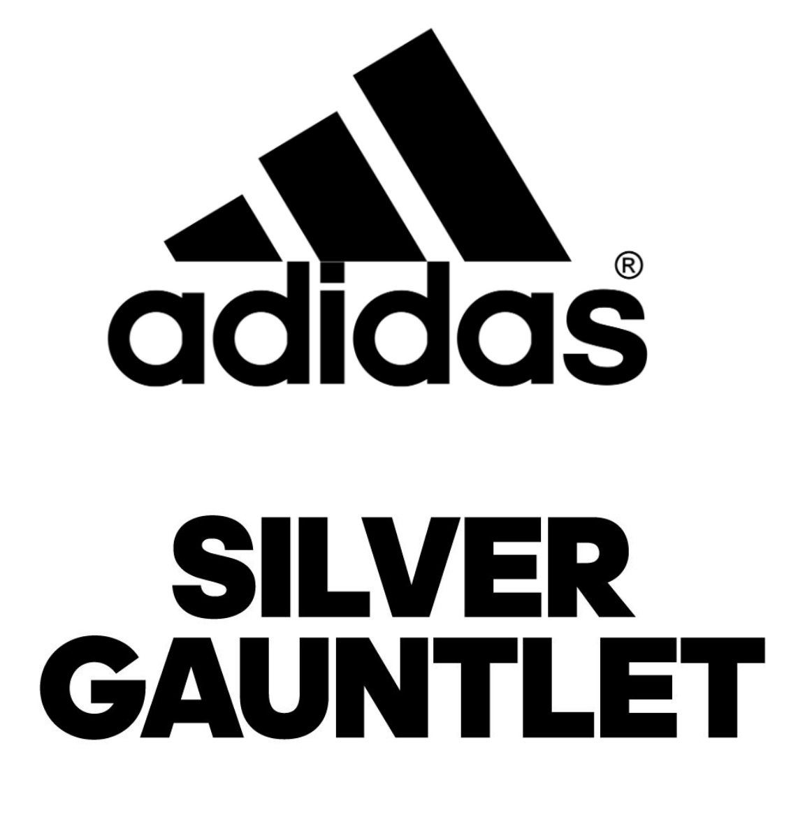 Adidas Silver Gauntlet Team/Program! Birmingham Blaze